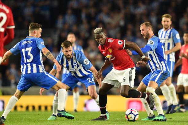 科学家们发 科学家们发