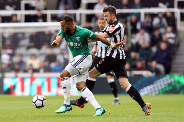 岁的哈维 岁的哈维