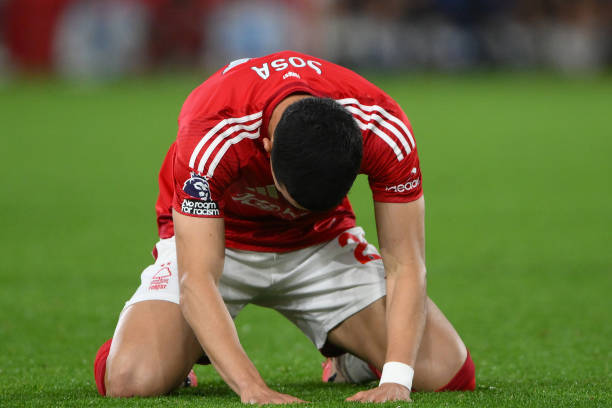 排名和走势 排名和走势