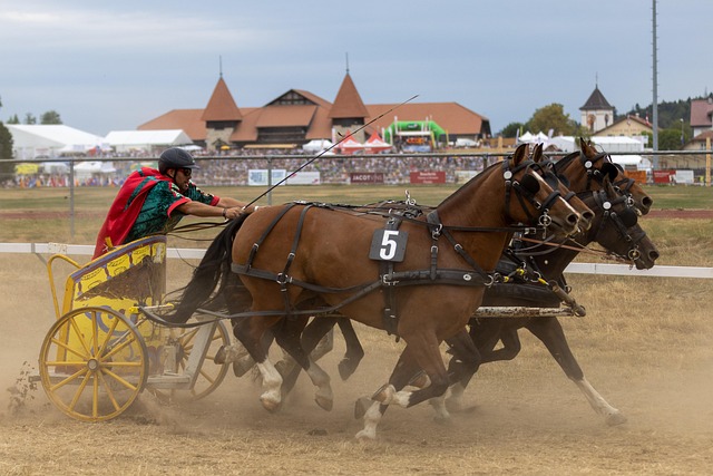 通过持续卓 通过持续卓